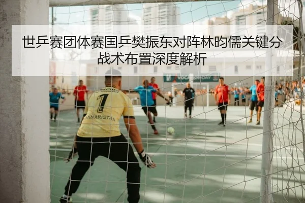 世乒赛团体赛国乒樊振东对阵林昀儒关键分战术布置深度解析